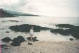  [Sandy beach on point at Hale Pōhaku, looking south] 