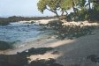  [Our beach and bay at Hale Pōhaku, towards north] 