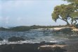  [Our bay at Hale Pōhaku, towards north point] 
