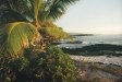  [Palms and our bay at Hale Pōhaku, from north point] 