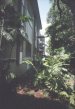 Side view of Hale Pōhaku from the carport